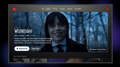 Diseño Netflix