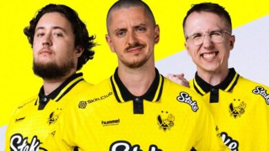 Team Vitality Stake