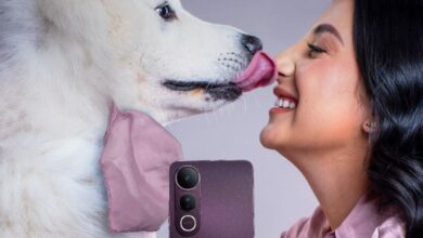 Vivo 50 Lite mascotas