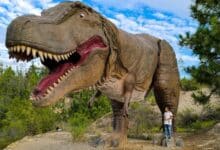 Gondava invita a viajar millones de años atrás junto a dinosaurios